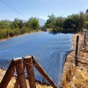 WhatsApp Image 2023-03-03 at 15.50.37 (1)